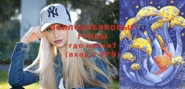MDMA Богородицк