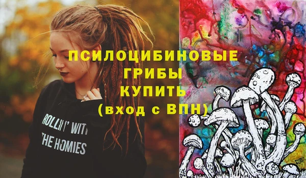 а пвп мука Богданович