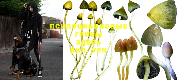 MDMA Богородицк