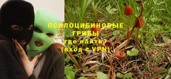 а пвп мука Богданович